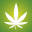 Best Led Grow Lights Of 2024 | Reviews By (Experts In Growing)