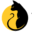 Absolutely Cats - Cat Breeds, Pedigree Cats, Kittens