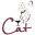 Home - The AfriCat Foundation