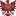 AILACT