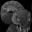 Airsoft Guns | Airsoft Rifles | Airsoft Pistols & More