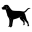 Dog House Heaters and Dog Vitamins and Supplements