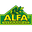 Supplement and Vitamin Store Online | Alfa Vitamins Store