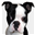 almostcool.org