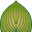 Home | American Hosta Society AHS | Become a Member