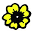 The American Primrose Society - for the love of Primula