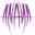 Anaya Belly Dance: Fusion Belly Dance