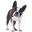 AngryPets.com :: Home