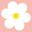 Antonella Blooms