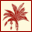 APiCS Online -