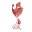 Association of Plastic, Reconstructive & Aesthetic Surgeons of Southern Africa