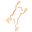 Association of Reptile and Amphibian Veterinarians