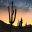 Hosting, Design, & Photography - Arizona Web Services LLC