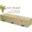 A Perfect Wood Casket | Cremation & Burial Casket | Casket Kit