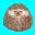 Atlantis Hedgehogs – Hedgehog Breeder in Oklahoma