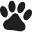 USASA - United States Australian Shepherd Association