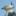 Aviceda's 2023 Site – Birding, Wildlife etc