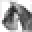 Axcium Miniature Schnauzers – Careful and limited high quality breeding of AKC Miniature Schnauzers