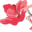 Home - Azalea Society of America
