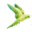 The Arizona Aviculture Society – Dedicated to Preserving a World of Beauty