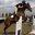 Bar None Ranches - Land Rental, Custom Farming, Training, Equine Care
