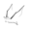 Bat Conservation and Management – Bat Conservation and Management, Inc.