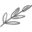 Intuitive Consultations | Bela Johnson Medical Intuitive