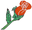Florist - Fleuriste – Fleuriste Bella Italia Inc