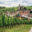 Home - BestWineValues.com