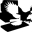Better Birdwatching – Bird Books & DVDs, ID tools to help you become a "better birdwatcher"