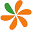 The leading primary cell culture system on the market - BioLamina