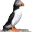 Bird Island Boat Tours - See Puffins in Cape Breton Nova Scotia