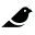 Birds'N'Ways - Explore the World of Exotic Birds