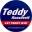 LET TEDDY WIN – Teddy Roosevelt, the Washington Nationals presidents race, and the fan experience at Nationals Park