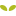 Bloomin Seed Paper - what you say grows