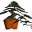 Bonsai Society of Australia Inc. | Japanese Bonsai