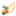 Bay of Plenty Cricket Association