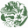 Home Page | UBC Botany