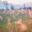 BotolaWildLifeFarm – Vivere a contatto con la natura
