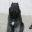 Bouvier Des Flandres Club of Southeastern Michigan