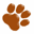 ― Boxer Rescue ― ADOPTIONS
