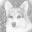 - Brookehaven Corgis