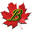 Brookfield Maple Products - Shop Top Rated Local® Maple Products