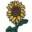 brucezimmerman.com – plant grow SHARE a row Niagara
