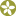 Quality Bonsai Tree - Bonsai Tree Care | Brussel’s Bonsai