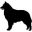 Belgian Sheepdog Club of America