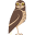 Alberta Birds of Prey Foundation