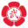 Bushido Ryu Dojo | Adult Martial Arts in Dania Beach, FL