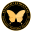Framed Butterflies - Butterfly Designs USA - Real Insect taxidermy Art