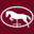 Equine Veterinarian in New Jersey | B.W. Furlong & Associates